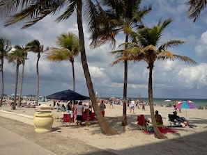 Une plage bordée de palmiers, avec des chaises de plage et des parasols.