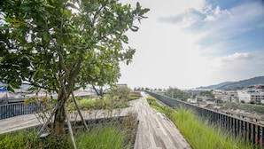 Un sendero de madera con baranda de metal, rodeado de follaje y árboles.
