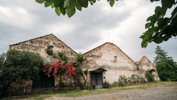 Servizio della struttura