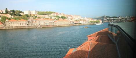 Vista desde la propiedad