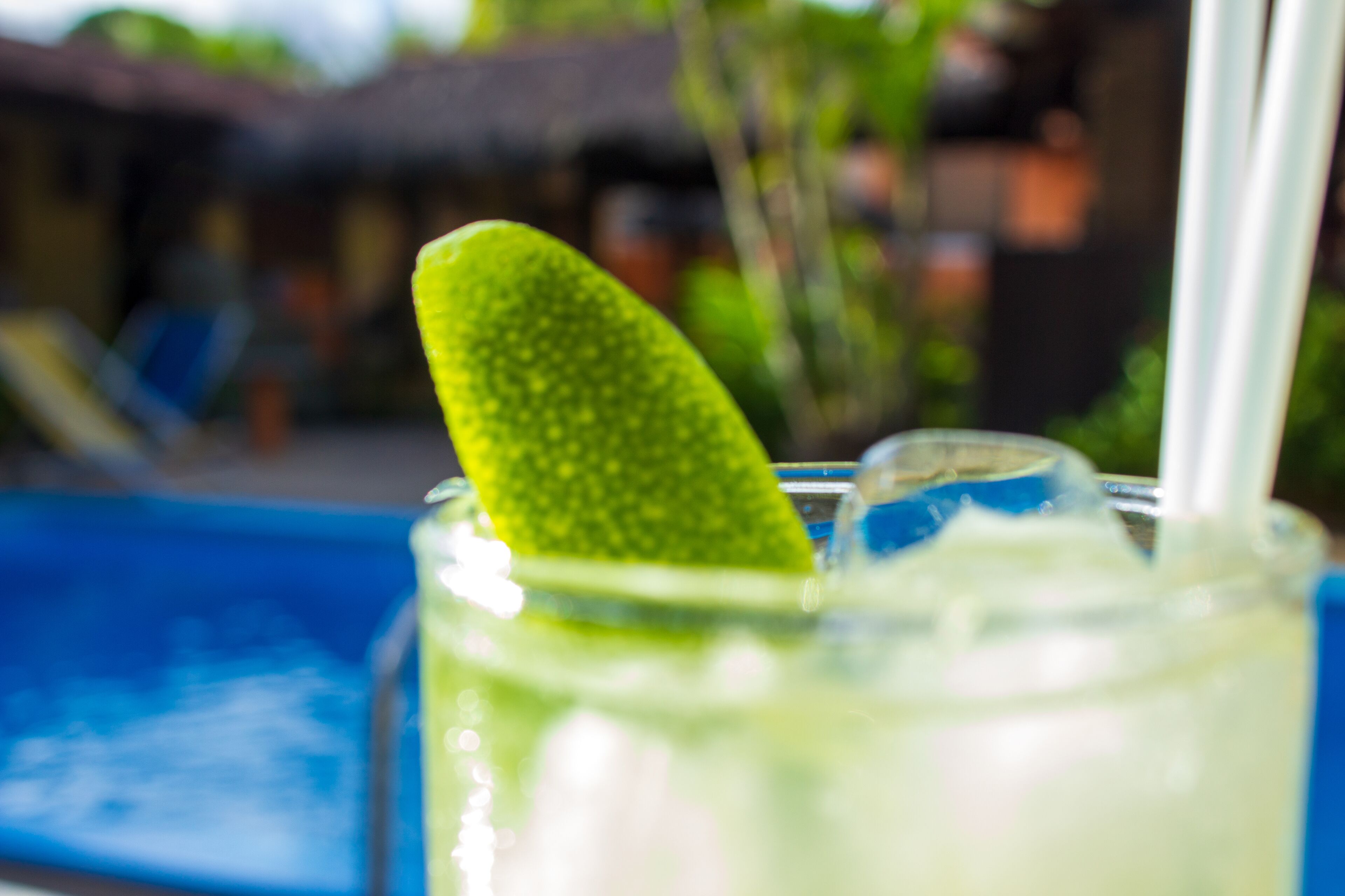 Foto - Pousada Cavalo Marinho