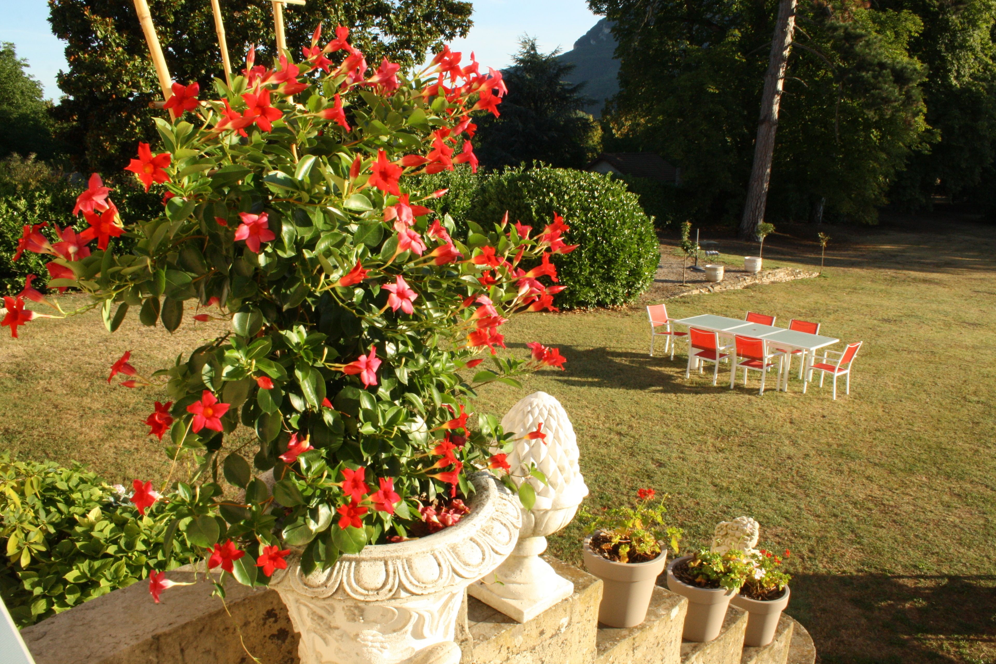 Tempat makan outdoor