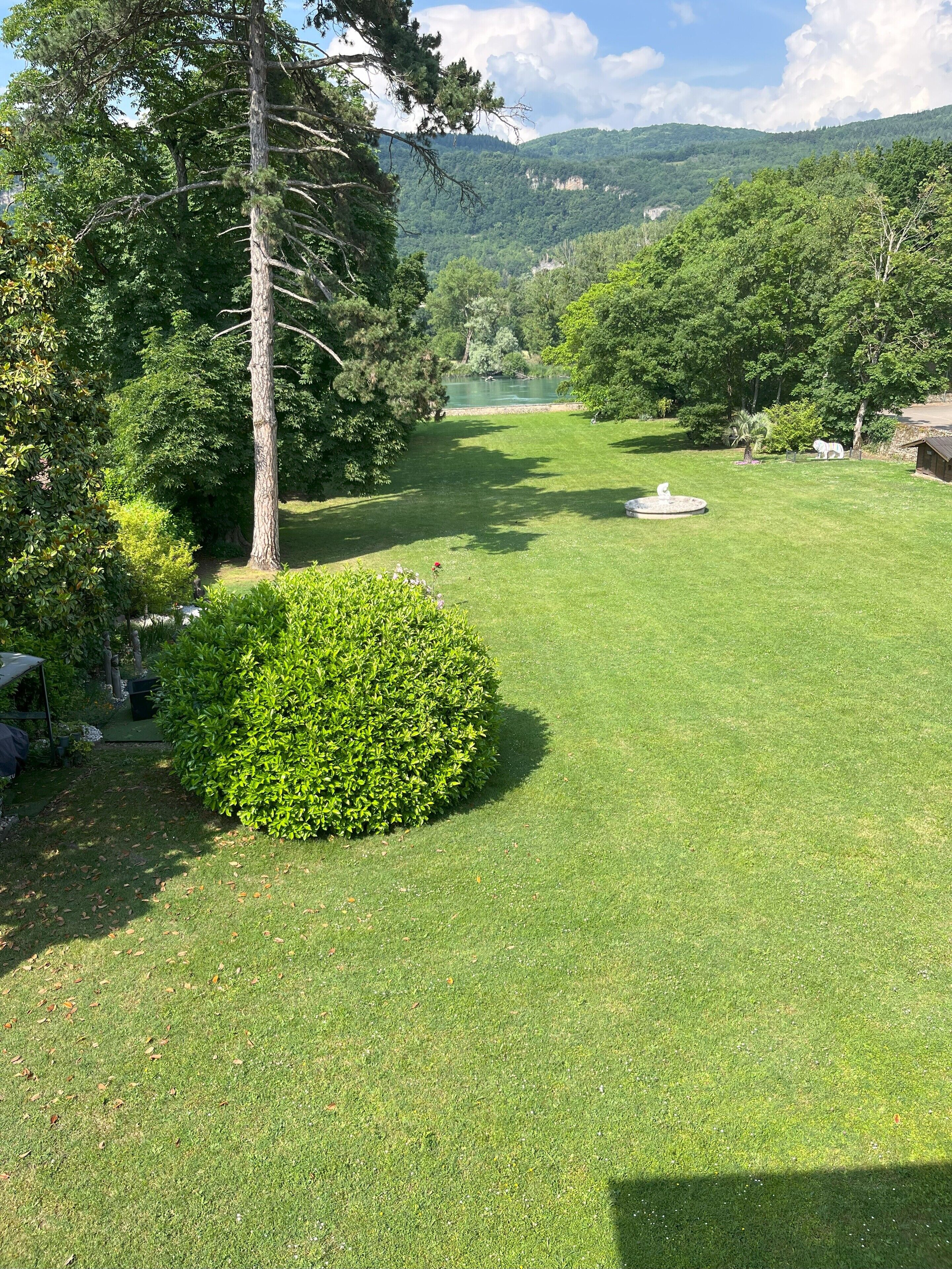 Zona verde bien cuidada con un árbol grande y un arbusto pequeño, un estanque y vistas a un lago y montañas a lo lejos.