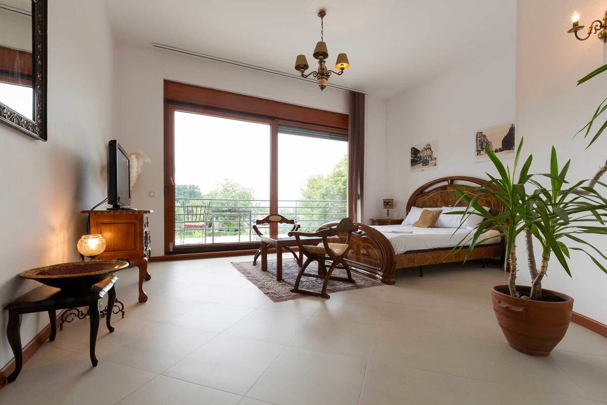A bedroom with a bed, a wooden chair, a potted plant, a television, and a balcony with a railing.