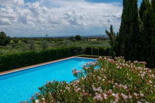 Una piscina rectangular con superficie de agua azul cristalina, rodeada de exuberante follaje y plantas en flor.