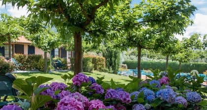 Agriturismo la Torricella