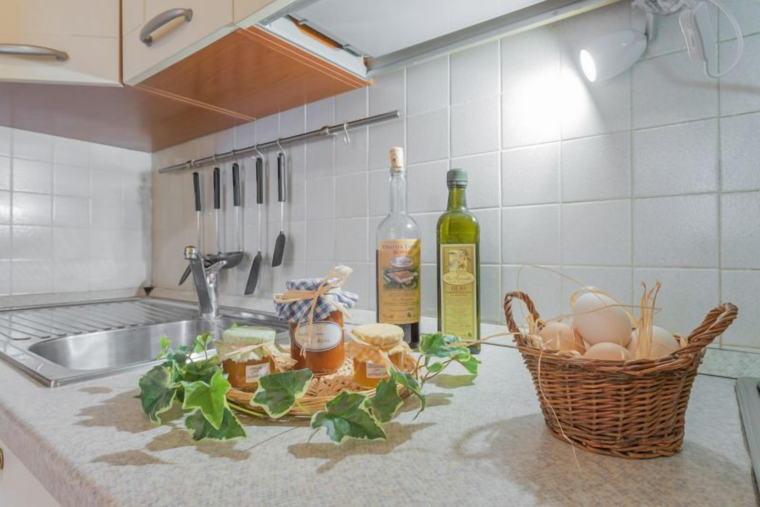 Apartment, 1 Schlafzimmer | Eigene Küche | Kühlschrank, Ofen, Herdplatte, Geschirrspüler