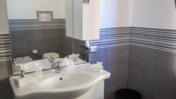 Regadera, amenidades de baño gratuitas, secadora de cabello, bidet