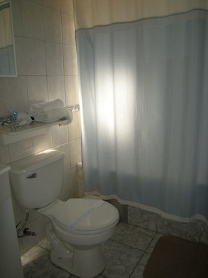 A bathroom with a toilet, a sink, and a shower curtain. - Apart Hotel Punto Real (Curicó)