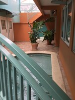 Un patio con una piscina pequeña, plantas en macetas y una escalera.