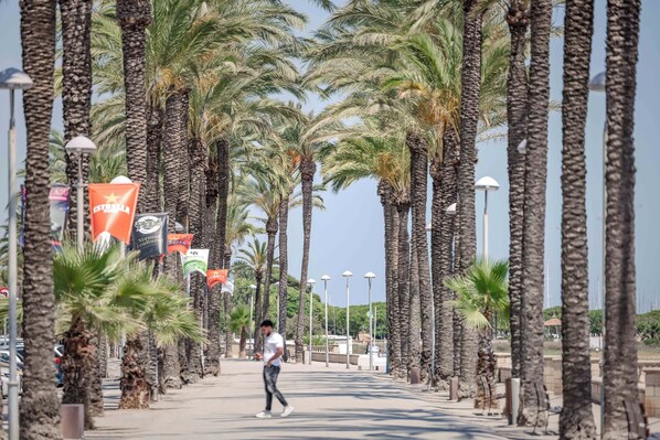 Un paseo peatonal bordeado por altas palmeras y farolas.