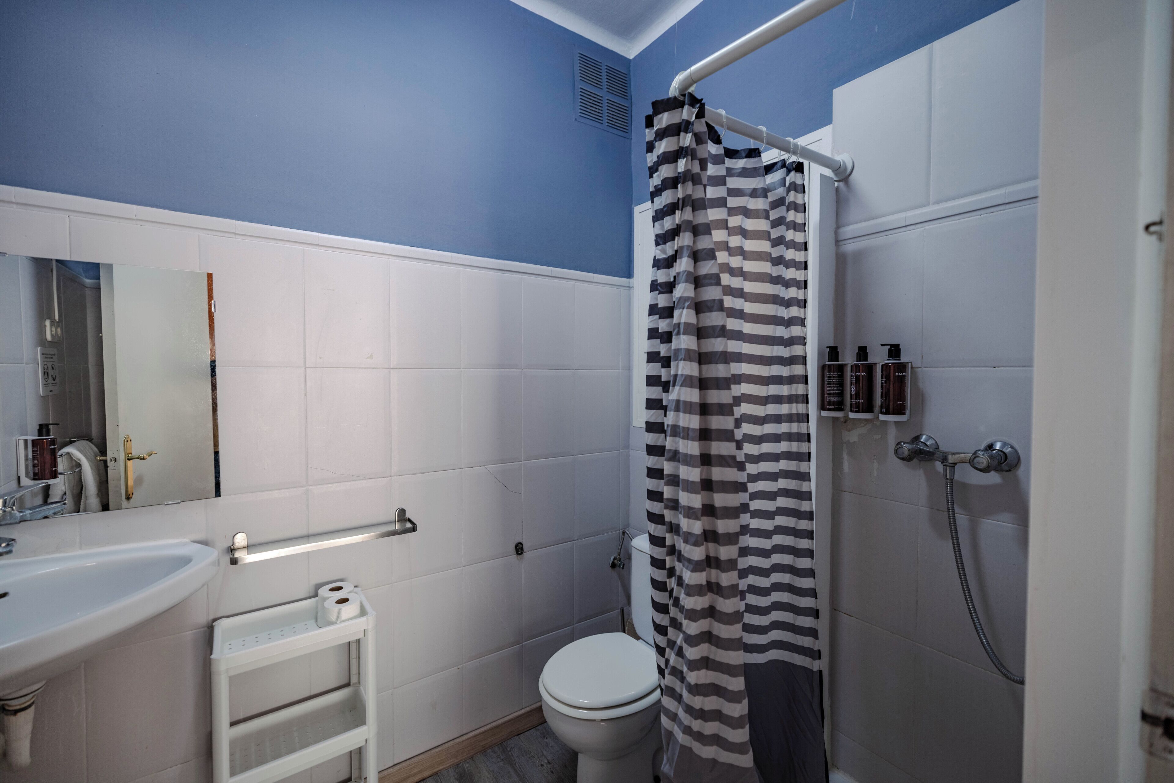 Familiekamer | Badkamer | Een haardroger, handdoeken, zeep, shampoo