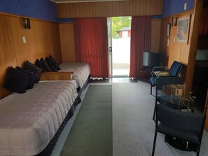 Suite, 1 Bedroom | Living area | Flat-screen TV, pay movies - Vista Motor Lodge (Wairoa)