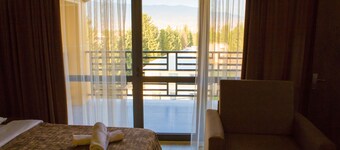 Hotel Holiday Villa