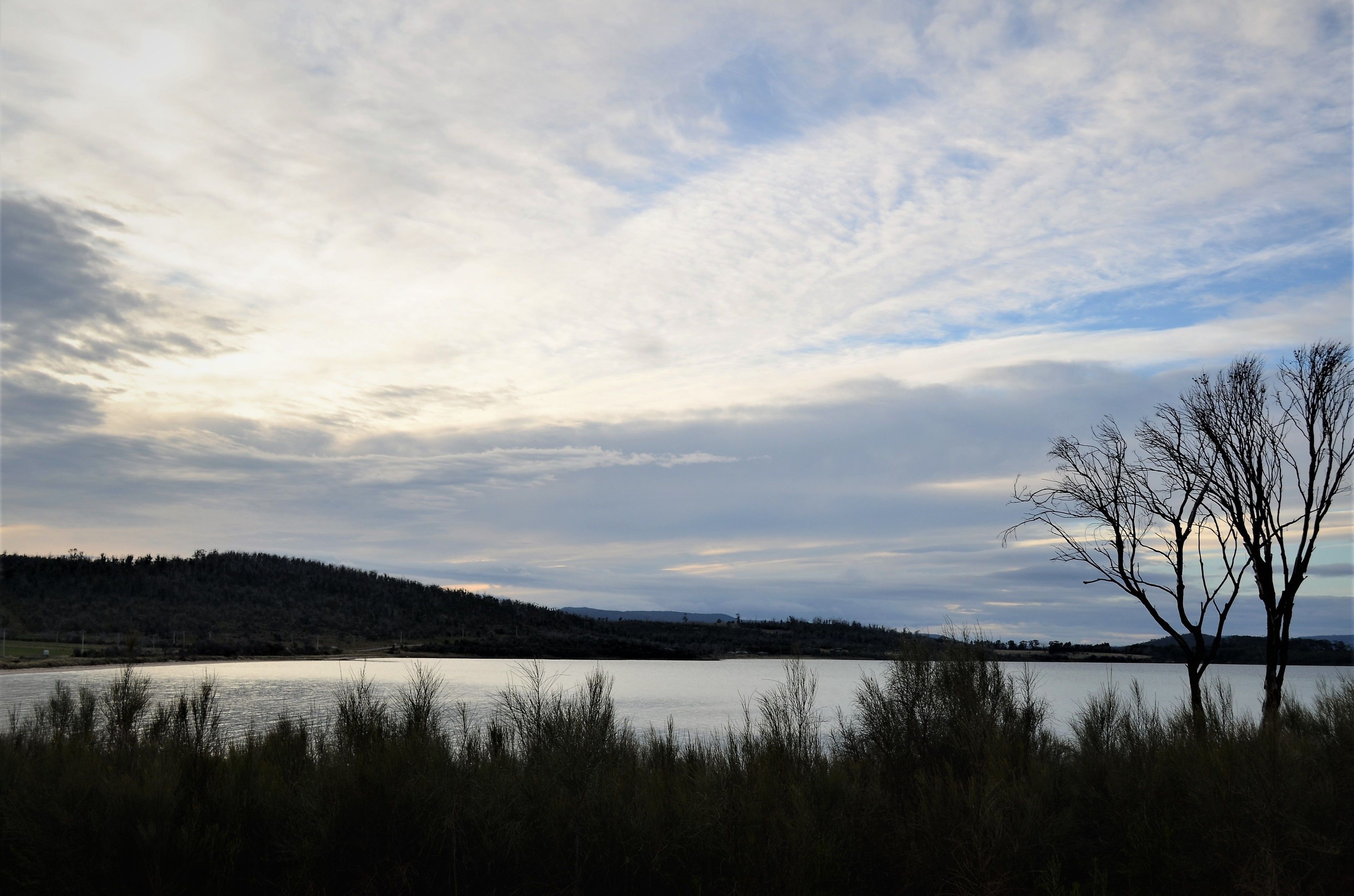 Flotsam Studio Accommodation — image 18