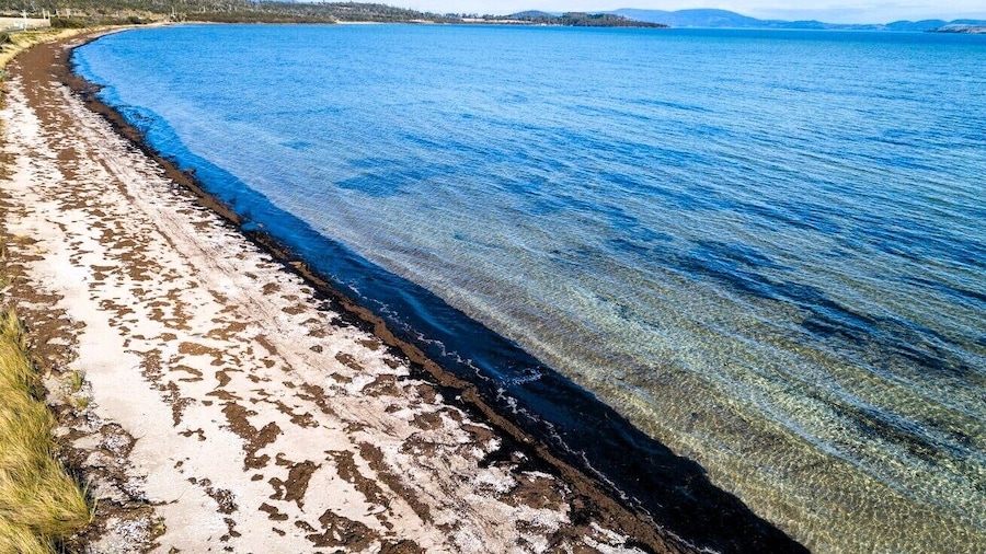 Flotsam Studio Accommodation