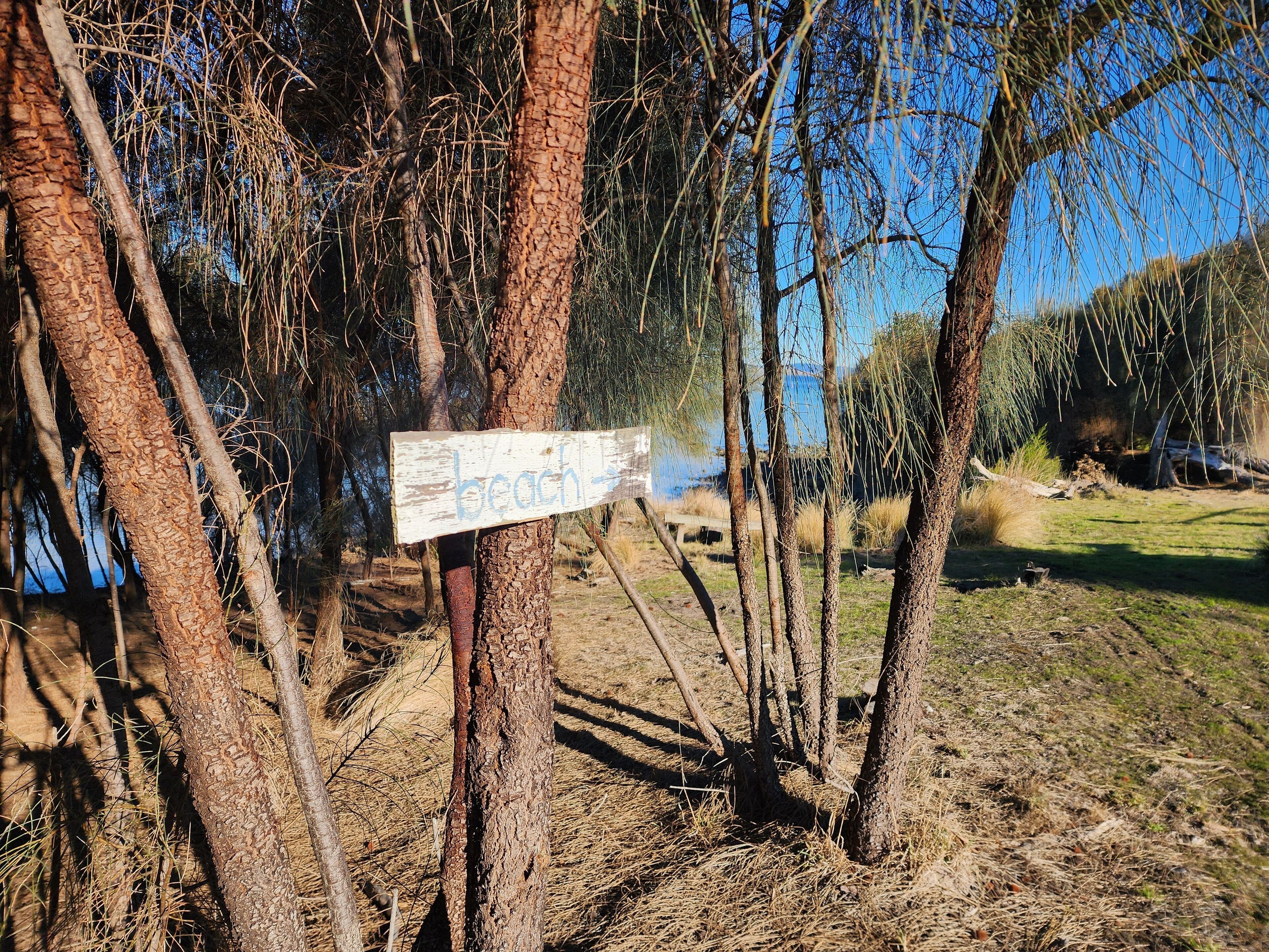 Un panneau en bois portant le mot « plage » et pointant vers la droite, entouré d’arbres et d’une zone herbeuse.