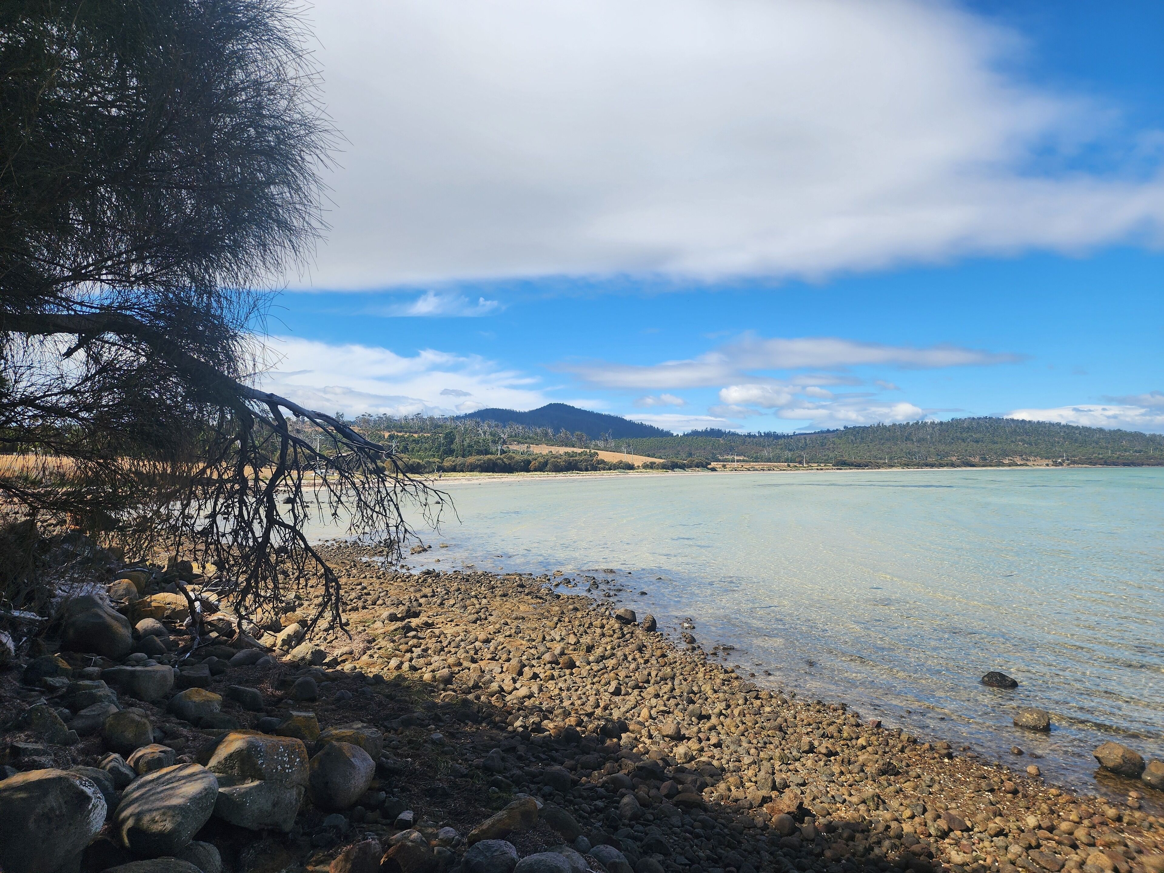 Una costa rocosa con aguas transparentes, un árbol a la izquierda y una cadena montañosa distante bajo un cielo azul.