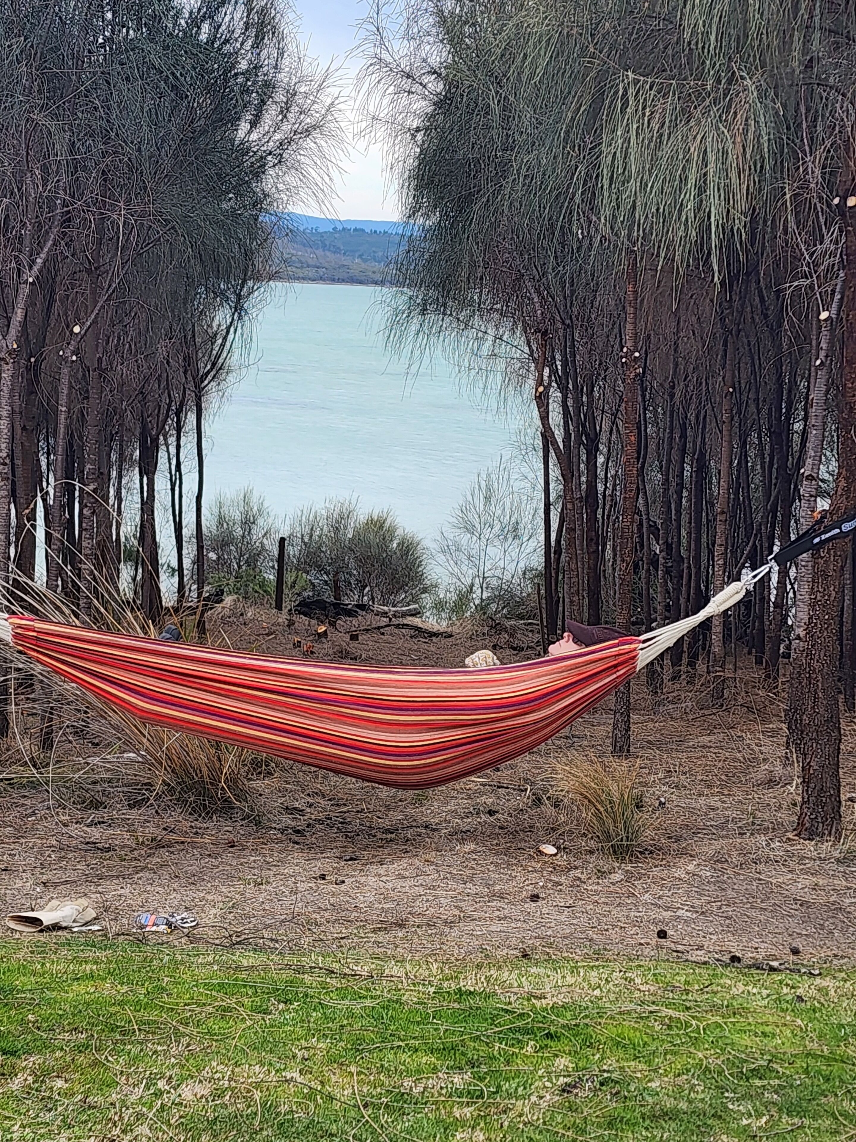 A hammock tied between trees overlooking a body of water.