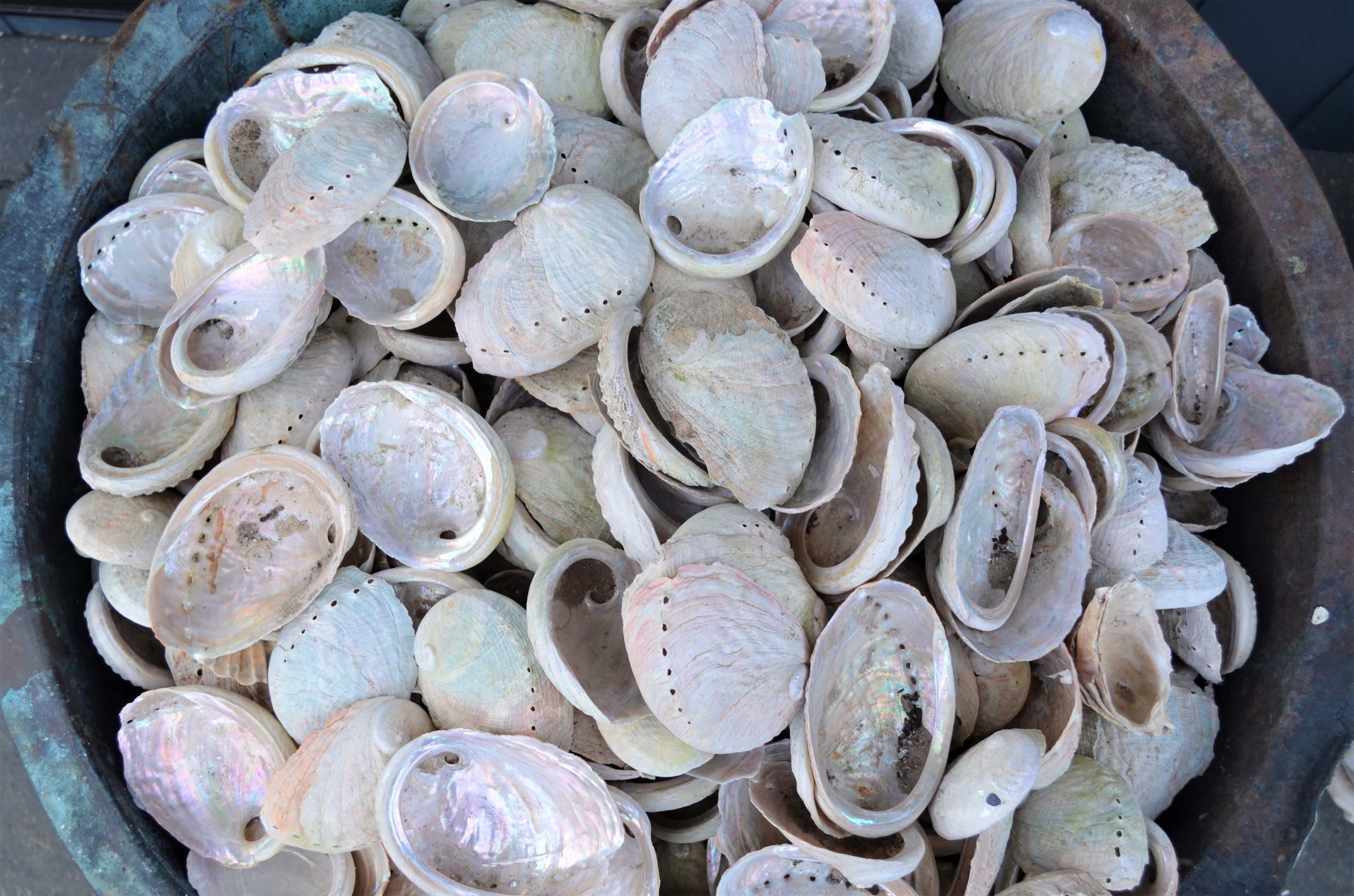 Flotsam Studio Accommodation — image 26