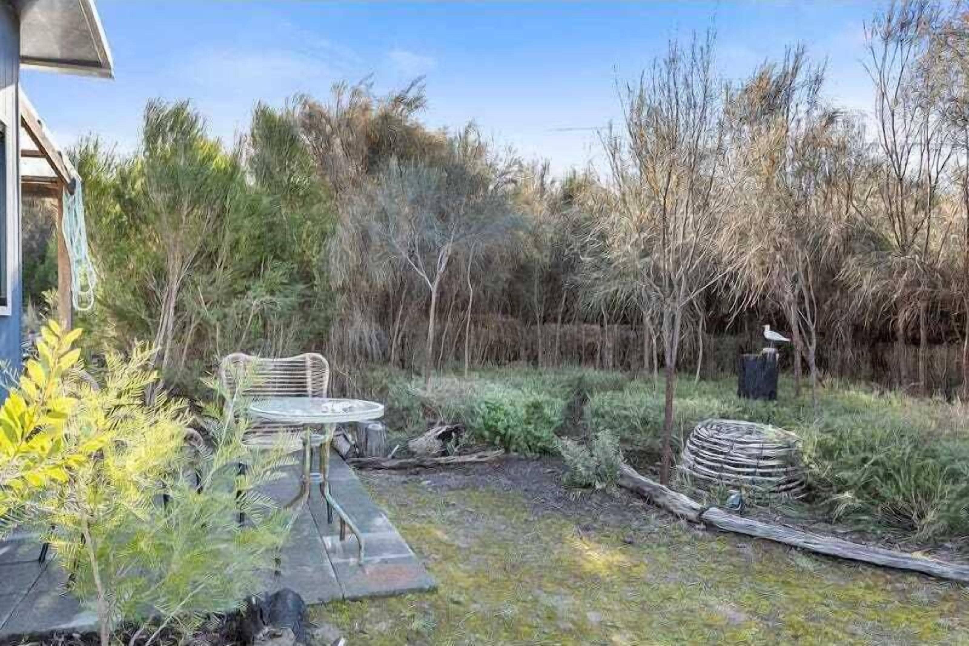 Un pati amb taula i cadires, envoltat de vegetació arbustiva i arbres.