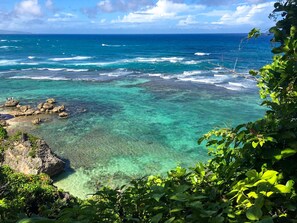Ubicación cercana a la playa, tumbonas y toallas de playa
