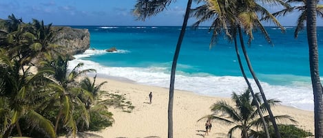 Plage à proximité, chaises longues, serviettes de plage