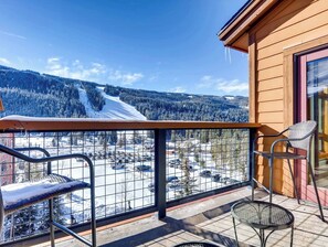 Property grounds - *Large* 3Br condo on bus route~Lenawee 1735~Kids Ski Free (Keystone)