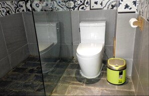Shower, free toiletries, hair dryer, slippers