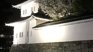 Unclassified image, 2 of 35, button - Kishu Nijojo (Kyoto)