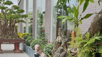 Vista desde la propiedad