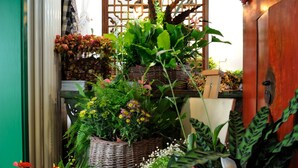 Pequeño jardín amurallado con diversas macetas de plantas y flores, un separador decorativo de madera y una puerta verde.