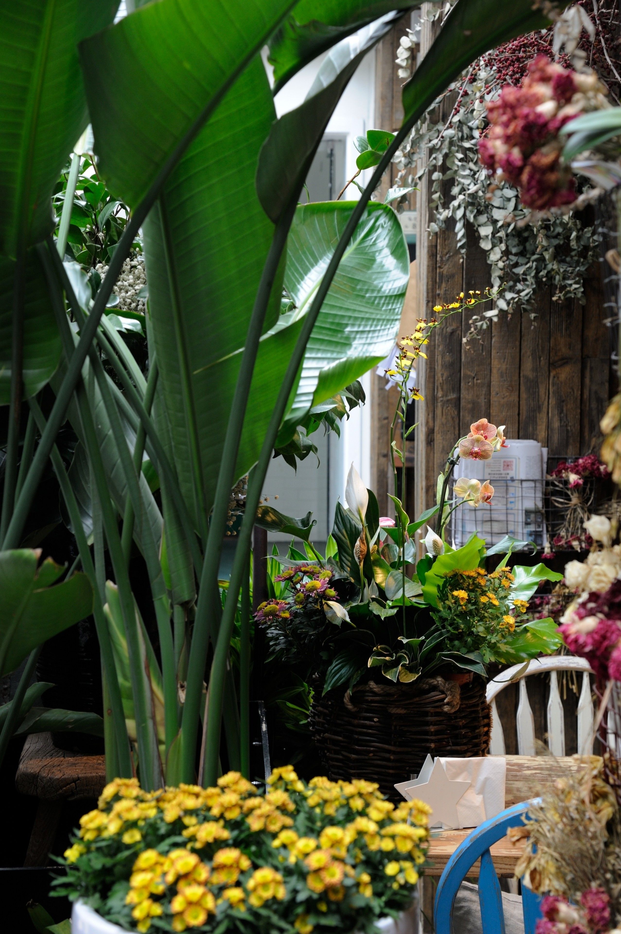 Foto - Peking Station Hostel