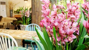 Un comedor con techo de madera, una mesa con sillas y orquídeas rosadas en primer plano.
