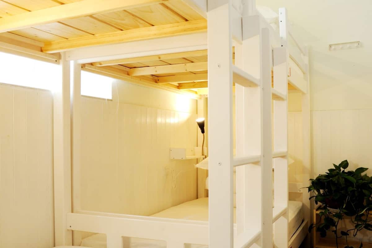 Dormitorio con literas, ropa de cama blanca, techo de madera y una planta en maceta.