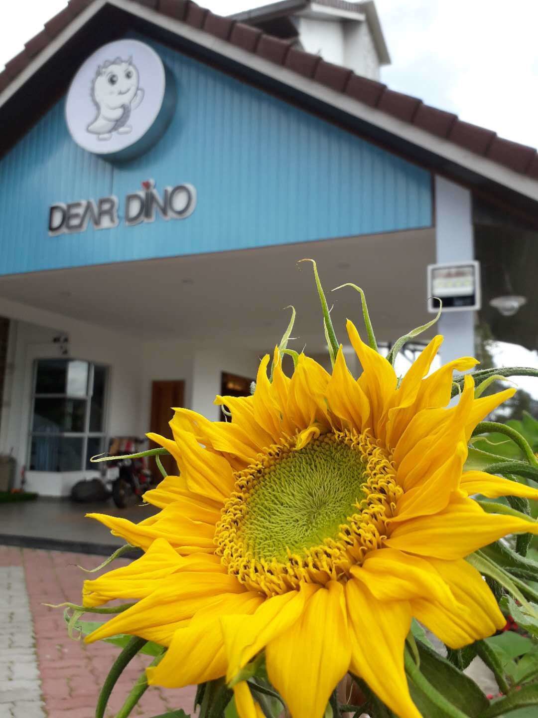 A building with a blue exterior and a sign that reads "DEAR DINO".