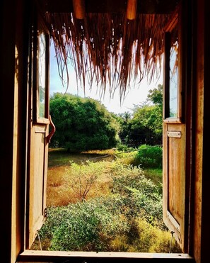 Garden - The Rabbit Tree - Hostel (Gili Meno)