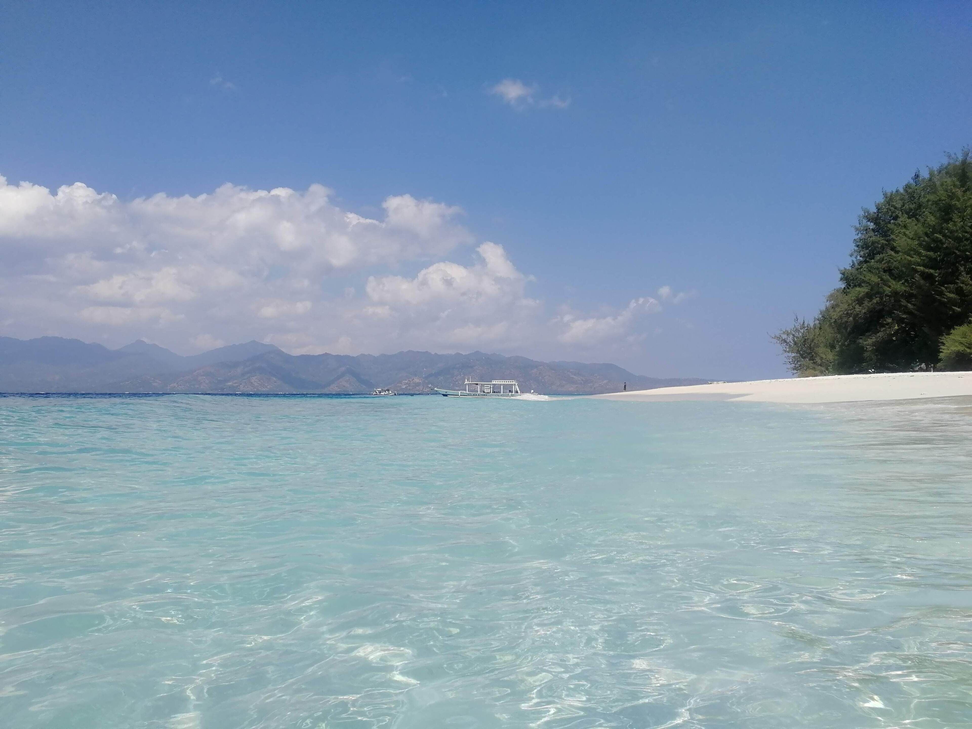 在海灘附近、潛水