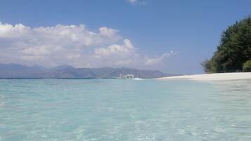 In StrandnÀhe, Sporttauchen