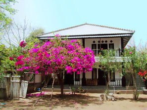 Exterior - The Rabbit Tree - Hostel (Gili Meno)