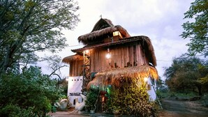 A rustic wooden house with a thatched roof, surrounded by greenery. - The Rabbit Tree - Hostel (Gili Meno)