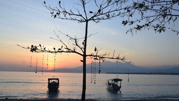 Gần bãi biển, lặn có bình dưỡng khí