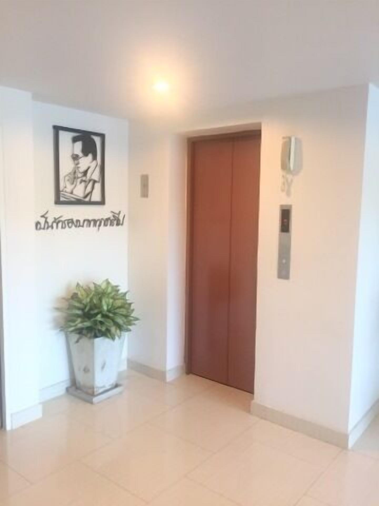 A clean, modern hallway with a wooden door, a potted plant, and a framed picture on the wall.
