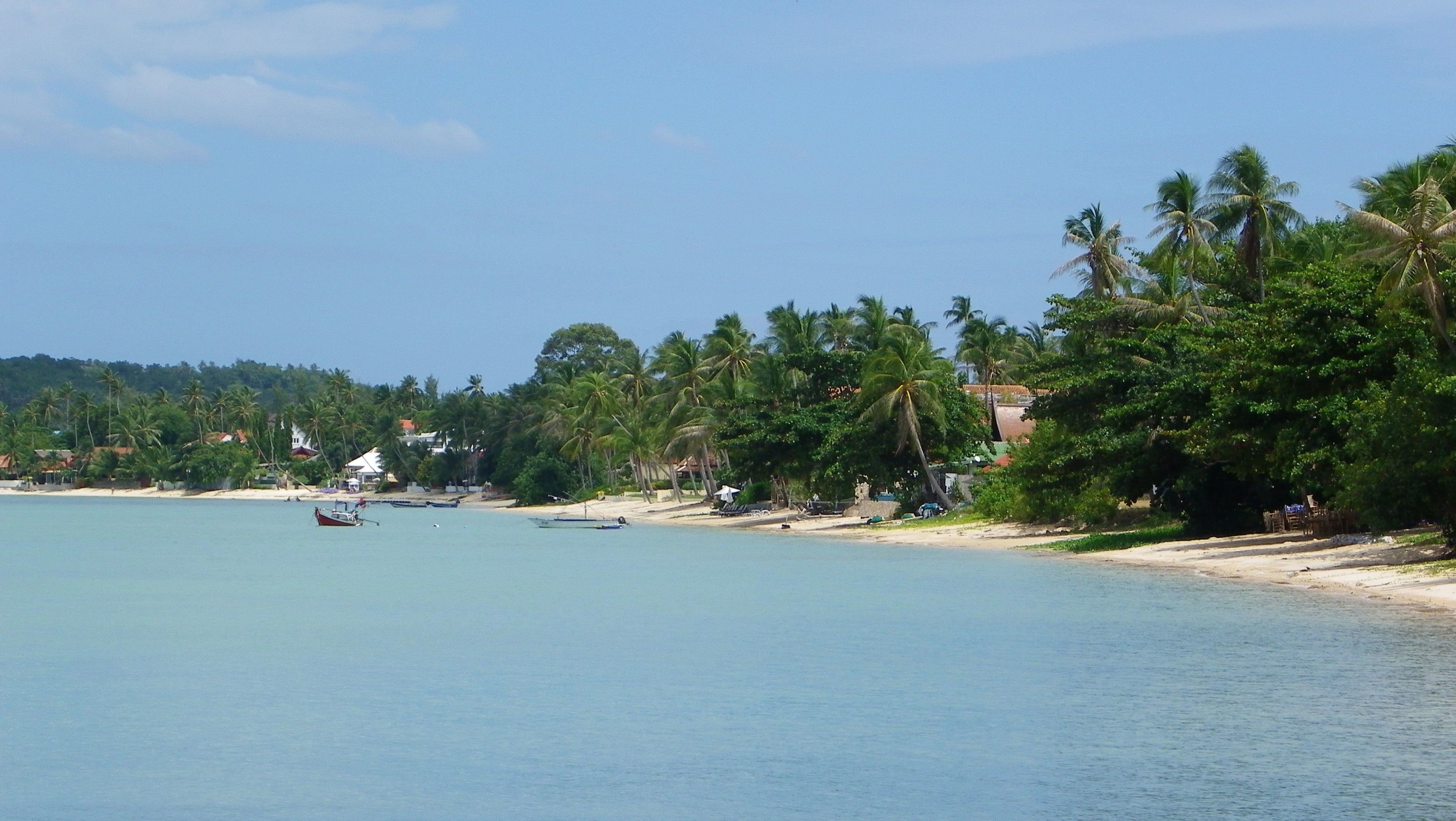 Ein Strand mit klarem Wasser, Palmen und Booten.