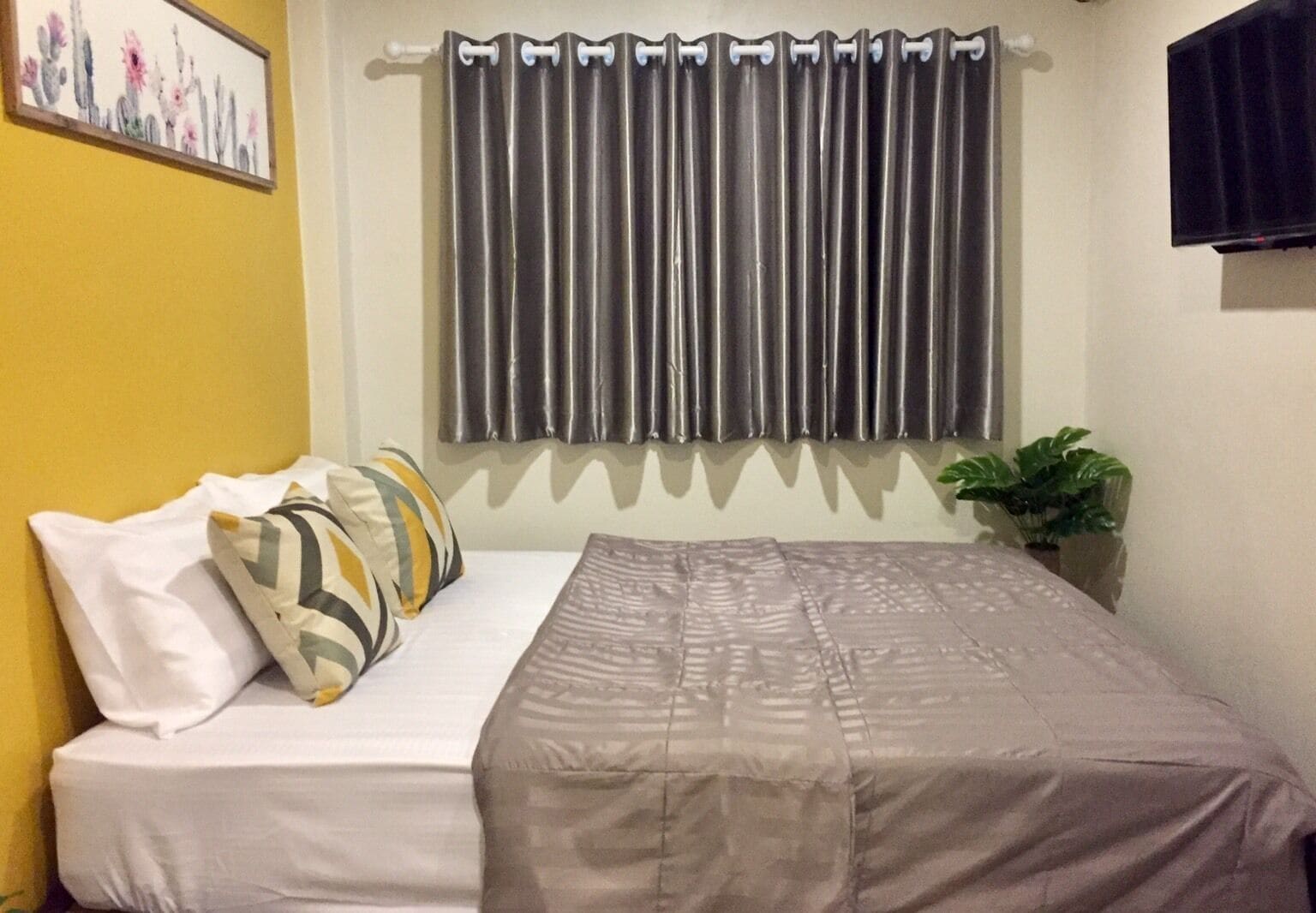 A bedroom with a bed, pillows, a curtain, a wall-mounted TV, and a plant.
