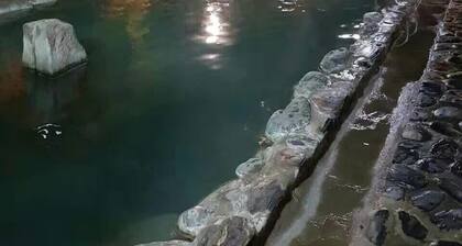 Chiben Hot spring Tsai-toa's Home