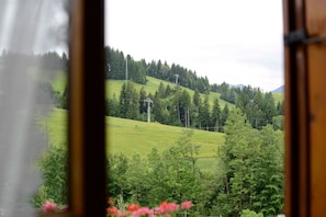 A view of a green hillside with trees and power lines. - Schrofenstube in the - Alpinrefugium Haus am Anger (Jungholz)