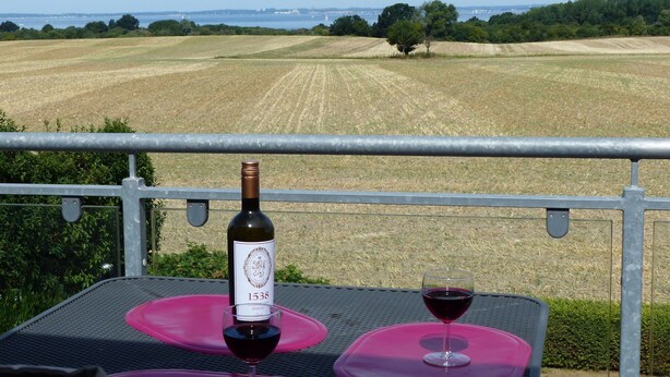 En flaska Merlot-vin från årgång 1538 och ett glas rött vin står på ett bord med utsikt över ett fält och en avlägsen stadsbild.