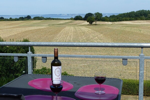 Una botella de vino Merlot 1538 y una copa de vino tinto sobre una mesa, con vistas a un campo y un paisaje urbano distante.