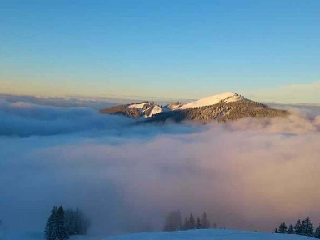 A mountainous landscape with snow-covered peaks and a forested area.